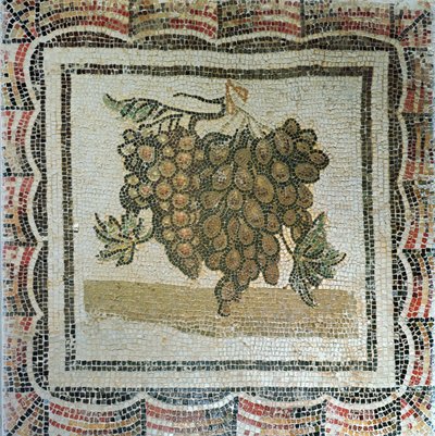 Tros witte druiven, Romeins mozaïek (mozaïek) door Roman
